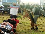Cachorros treinados auxiliaram os policiais 