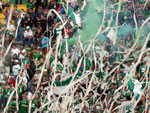 Torcida da Chapecoense fez uma grande festa nas arquibancadas do ndio Cond