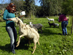 EM MUNICPIOS COMO AURORA, TURISTAS  SO RECEBIDOS NA CASA DOS AGRICULTORES