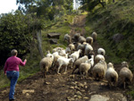 EM MUNICPIOS COMO AURORA, TURISTAS  SO RECEBIDOS NA CASA DOS AGRICULTORES