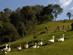 EM MUNICPIOS COMO AURORA, TURISTAS  SO RECEBIDOS NA CASA DOS AGRICULTORES