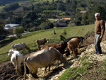 EM MUNICPIOS COMO AURORA, TURISTAS  SO RECEBIDOS NA CASA DOS AGRICULTORES