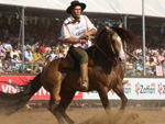 O Freio de Ouro Jos Fonseca Macedo com Matreiro do Itaporor na prova Bayard-Sarmento