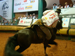 Prova de Mangueira exige equilbrio dos ginetes