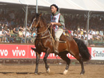 O Freio de Bronze na categoria macho foi para Senhor de Santa Thereza, montado pelo ginete Daniel Teixeira, com