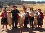 &quot;Destaque para as nativas incas e suas ilhamas em frente ao Parque Sacsayhuman lindo ponto turistico-Cuzco&quot;