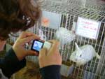 Em lugar de lpis e papel, estudantes da 5 srie do Ensino Fundamental registram os melhores momentos da visita  feira com cmeras fotogrficas digitais