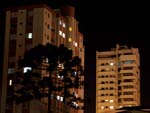 Araucria, no centro de Lages, faz parte do cenrio de croncreto