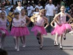 Desfile na Rua XV de Novembro contou com a participao de 85 grupos e durou mais de duas horas