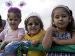 Desfile na Rua XV de Novembro contou com a participao de 85 grupos e durou mais de duas horas