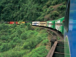 A bordo do trem ou litorina, o visitante pode desfrutar da belssima paisagem composta de uma das maiores reservas de Mata Atlntica do Brasil