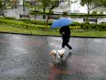 A semana fechou com chuva e frio em Caxias. A temperatura no passou dos 14C e quem precisou sair, teve que se agasalhar