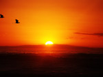 Eu Leandra cliquei o sol nos primeiros momentos do dia, na praia da ncora..nosso paraso familiar