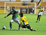 Metropolitano parou na forte marcao do Tigre