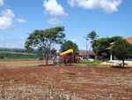 Reunio em Maring (PR) para discutir alternativas de produo 