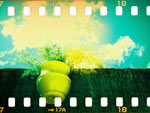 Holga  uma das nove cmeras Lomo de Dbora. Veio pelo correio direto de Taiwan