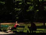 Dia de calor intenso pelo Rio Grande. Em Porto Alegre, s 15h, os termmetros registraram 30,8C