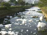 Espuma que cobre a gua resulta da poluio