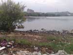 No Anfiteatro Pr-do-Sol, onde viram a foz do Arroio Dilvio e o Guaba, os participantes ficaram chocados pela quantidade de lixo s margens do arroio e pela tonalidade escura da gua