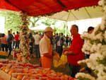 A Festa do Pssego vai at 22 de novembro
