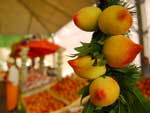 Na festa, esto disponveis oito variedades de pssego cultivadas no municpio e em outras cidades do Estado, alm de produtos feitos  base da fruta