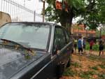 Na Vila Bom Jesus, em Porto Alegre, uma rvore desabou atingindo dois carros