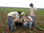 Equipe de alunos da lavoura demonstrativa de Campo Verde (MT) trabalham no local