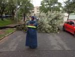 EPTC auxilia na liberao de pista bloquada pelo tombamento de uma rvore, em Porto Alegre