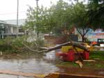 Na tarde desta quarta-feira um temporal atingiu o municpio de Tapejara por cerca de 20 minutos