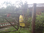 Leitora registra estragos do temporal no bairro Restinga, Porto Alegre