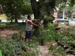 A Secretaria Municipal do Meio Ambiente (Smam) trabalha com prioridades para sanar os problemas causados pelo temporal que atingiu Porto Alegre na ltima quinta-feira
