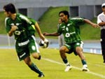Festa do Metropolitano campeo do returno da Copa Santa Catarina