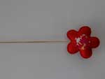 Colocado na juno das ptalas, o palito de churrasco permite que a perene flor seja fixada na terra, levando cor a vasos e floreiras