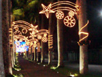 Rua das Palmeiras, em Blumenau