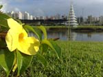 Parque de Coqueiros