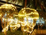 Luzes de Natal na Prefeitura de Blumenau.