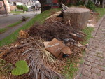 Uma , deveria remeter a rodas de chimarro, crianas brincando por entre as rvores, pessoas fazendo caminhadas  Ao de carroceiros, moradores de rua e at de moradores do bairro esto transforma a praa Recanto dos Amigos, no bairro Medianeira, em Porto Alegre, em um verdadeiros depsito de lixo