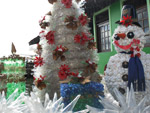 Eco Natal Luz, em So Francisco do Sul