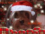 Cachorrinho de Eliane Santos, Ygor Noel