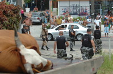 Policiais disseram que quando abriram o port�o de um terreno o boi teria avan�ado sobre eles&nbsp;-&nbsp;Julio Cavalheiro