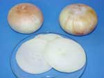 2 cebolas picadas