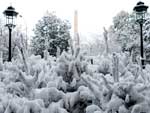 rvores e jardins de Madri amanhaceram nesta segunda-feira (11/01) cobertos por neve.