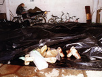 Em 12 de janeiro de 2000, na Serra da Santinha, em Pouso Redondo, a BR-470 registrou o acidente com maior nmero de mortos da histria de Santa Catarina. Na batida que envolveu dois nibus de turismo e um micro-nibus, morreram 38 argentinos e um motorista brasileiro