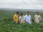 Estagirios de Campo Verde fazem monitoramento da lavoura demonstrativa em 14 de janeiro 