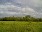 Foto do stio de Valdelei Guiurio, em Rubicea (SP)