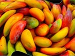Eliane C�ndido/Seu Olhar