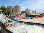 Divulga��o