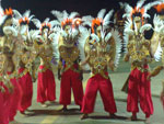 frica foi homenageada no desfile da Imprio do Sol.