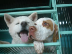 Fotos da Kaya e da Olga 