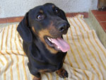 Este  o Jhaca...meu beb pretinho!!! 
